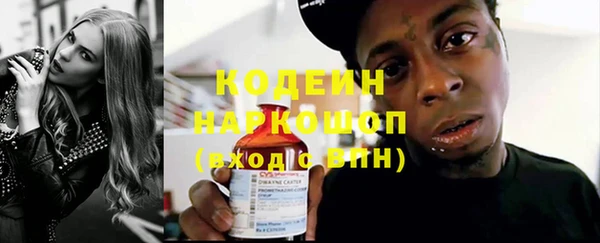 молекула духа Козловка