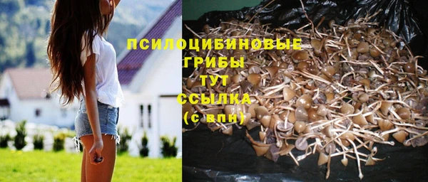 не бодяженный Киренск