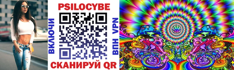 гидра ссылка  Элиста  Псилоцибиновые грибы Magic Shrooms  купить  